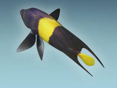 Anglefish 3 flying fish 3D model