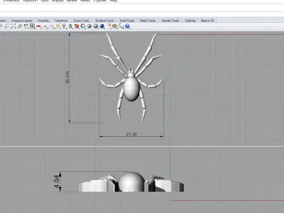 Spider relief 3D print model 3D print model