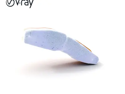 Salmon Fillet D Model Pack Low-poly 3D model