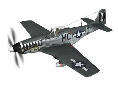 North American P-51D Mustang - Happy Jacks go Buggy 3D model