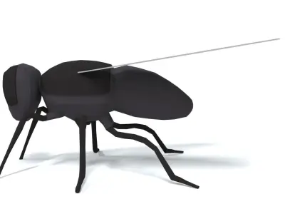 Low Poly Cartoon Fly  Low-poly 3D model