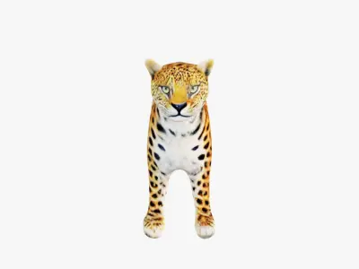 Leopard Free 3D model