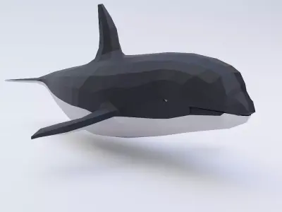 Killer Whale fish low poly 3d model  Low-poly 3D model