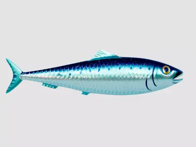 Sardine Pilchard Model 3D model