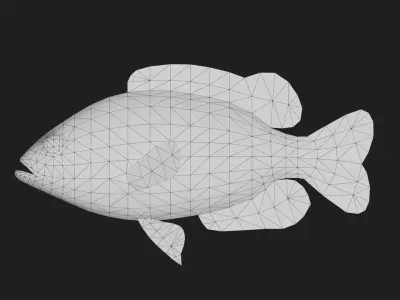 Rockbass fish Low-poly 3D model