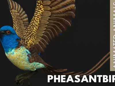 PheasantBird B1 Free low-poly 3D model