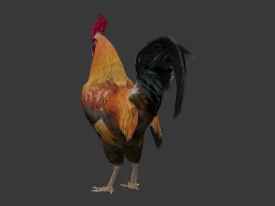 Cock  Rooster Low-poly 3D model