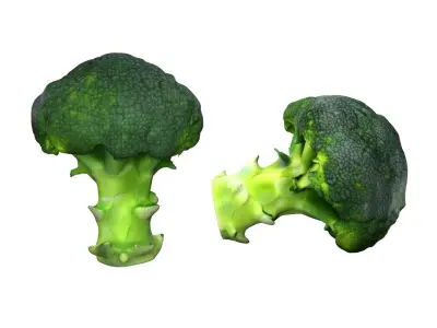 Broccoli scan Free low-poly 3D model