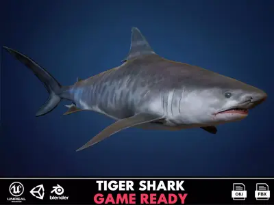 Tiger Shark - GameReady Low-poly 3D model