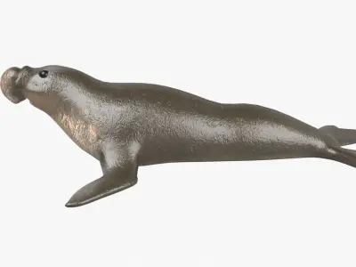 Elephant Seal Low-poly 3D model