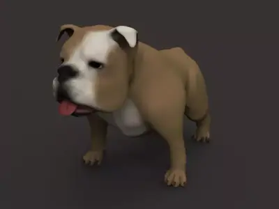 Buldog bulldog Free low-poly 3D model