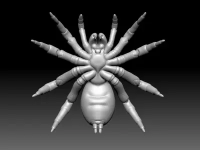 Trapdoor Spider Low-poly 3D model