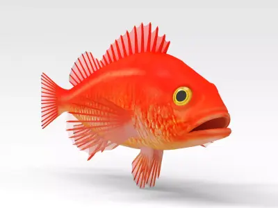 GoldFish orange fish 3D model
