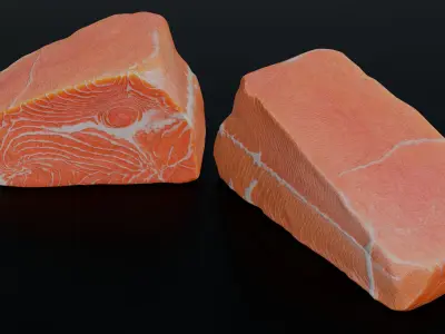 Salmon Fillet 3D model