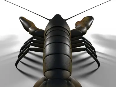 lobster crayfish 3D model
