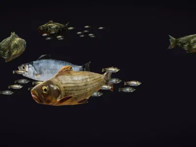 Fish Flock Fresh Water Fishes Animated Floating River Trout Low-poly 3D model