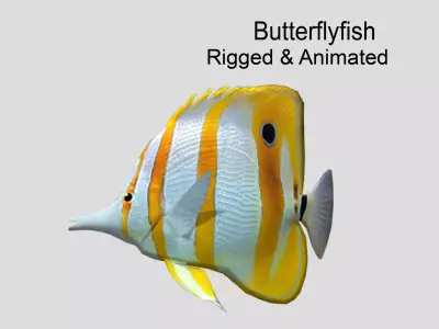 Butterflyfish Realistic Animated Low-poly 3D model