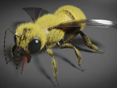 Honey bee 3D model