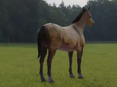 Horse 3d Model in field Free low-poly 3D model
