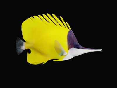 Longnose Butterflyfish Low-poly 3D model