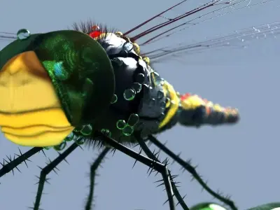 Dragonfly on leaf 3D model