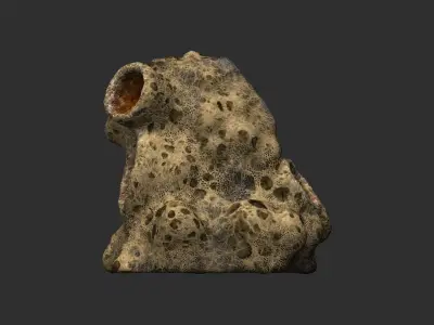 Spider Rock 03 Low-poly 3D model