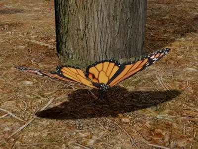 Butterfly clock 3D model