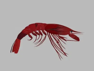 SHRIMP LOW POLY 3D model