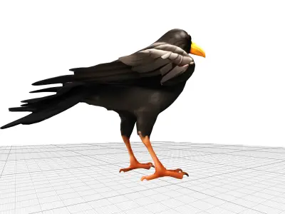 Black Raven Crow Low-poly 3D model