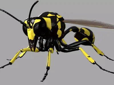 Potter or Mason Wasp 3D model