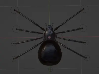 Black Widow Spider Rigged Free 3D model