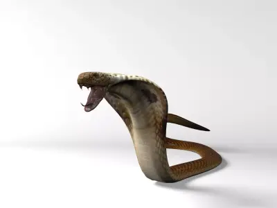 Snake Low Quality 3D model