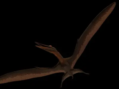 Pterodactyl Antiquus Asset Pack Low-poly 3D model
