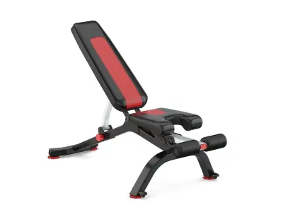 Bowflex Stowable Bench 3D model