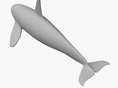 Low Poly Killer Whale Low-poly 3D model