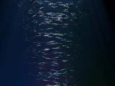 Metal Sardines tornado 3D model