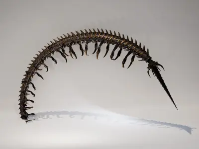 Scolopendra IndustrialMech06 Low-poly 3D model