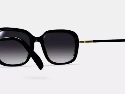 Safia Sunglasses in Jet Black with Polished Gold 3D model