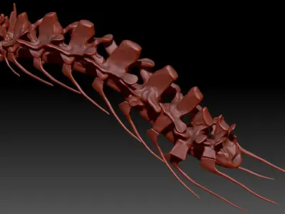 Spinosaurus Neck Skeletons Set 3D model