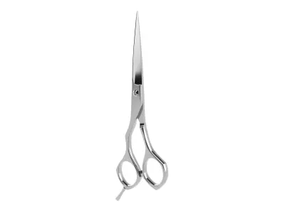 Scissors(1) 3D model