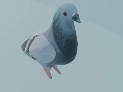 pigeon Low-poly 3D model