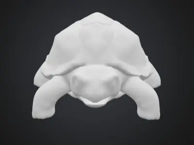 Turtle 3D print model