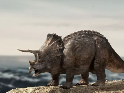 Triceratops Rigged 3D model Low-poly 3D model