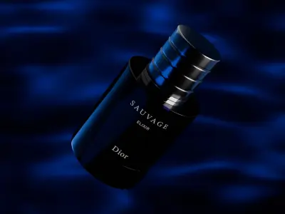 Dior Sauvage Elixir 100ml 3D model