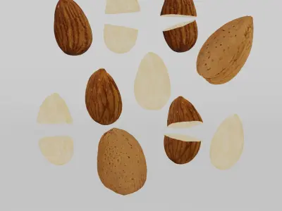 Almonds 3D model