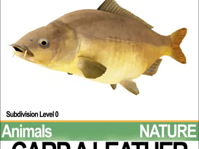 Carp A Leather 3D model
