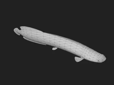 Arapaima Low-poly 3D model