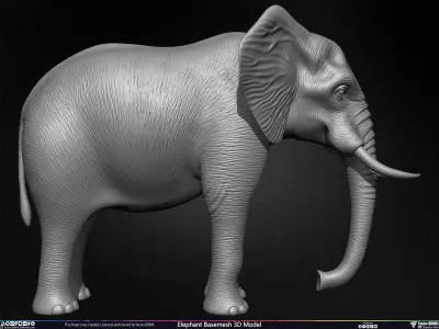 Elephant Basemesh 3D Model Low-poly 3D model