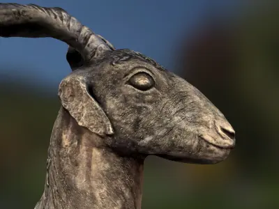 Goat Head - scan of clay sculpture 3D model