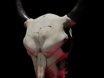 Bull Skull 3D model